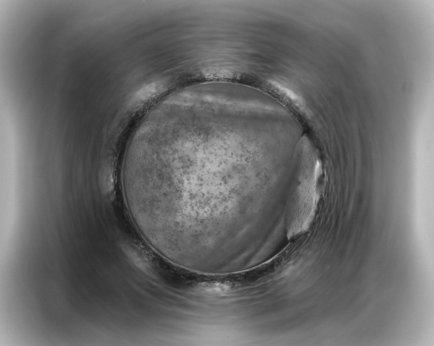 X0000087000687200704301358