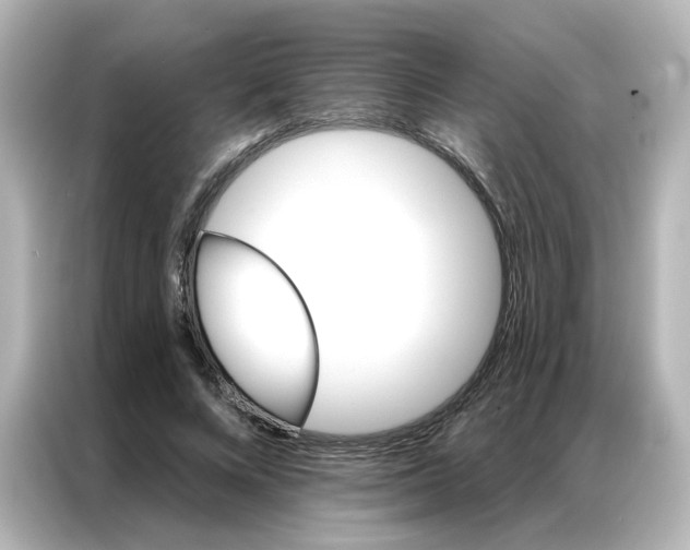 X0000087000688200704301358