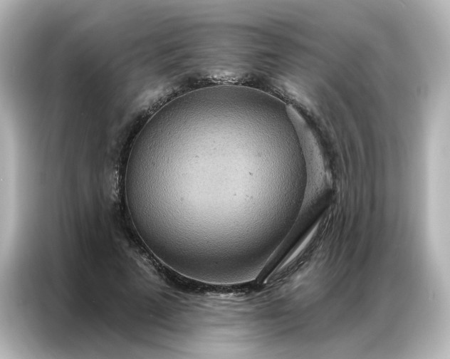 X0000087000689200704301358