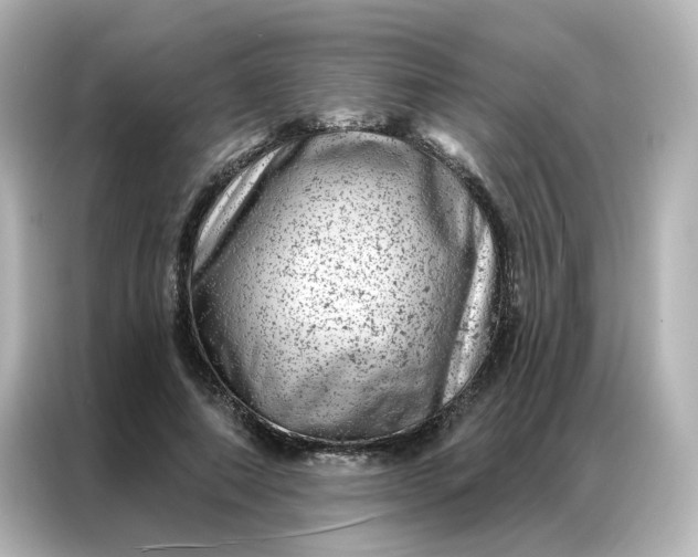 X0000087000690200704301358