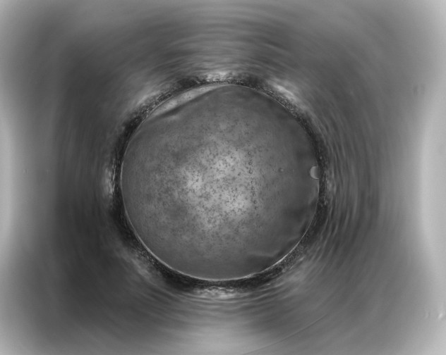 X0000087000691200704301358