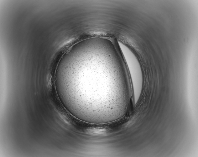 X0000087000692200704301358