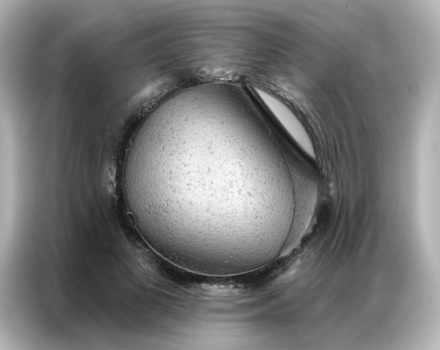 X0000087000693200704301358