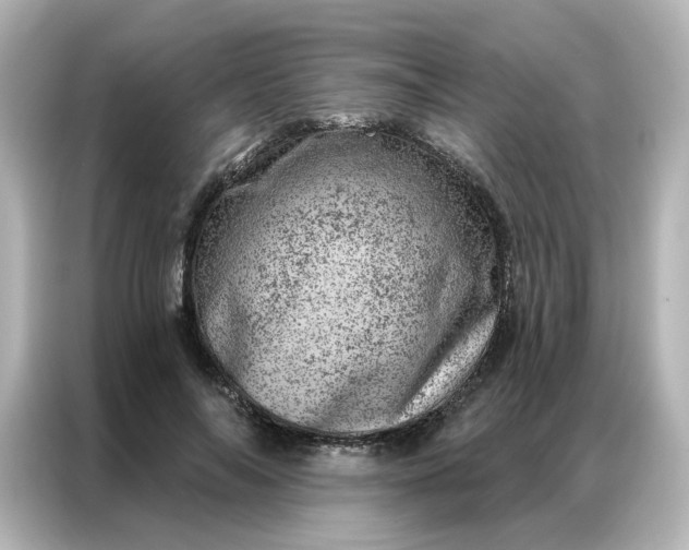 X0000087000694200704301358