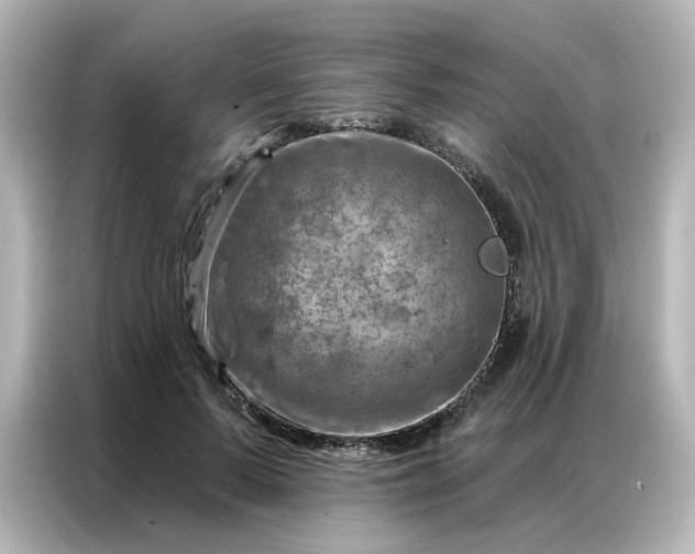 X0000087000695200704301358