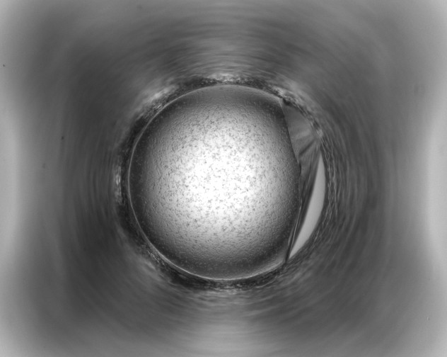 X0000087000696200704301358