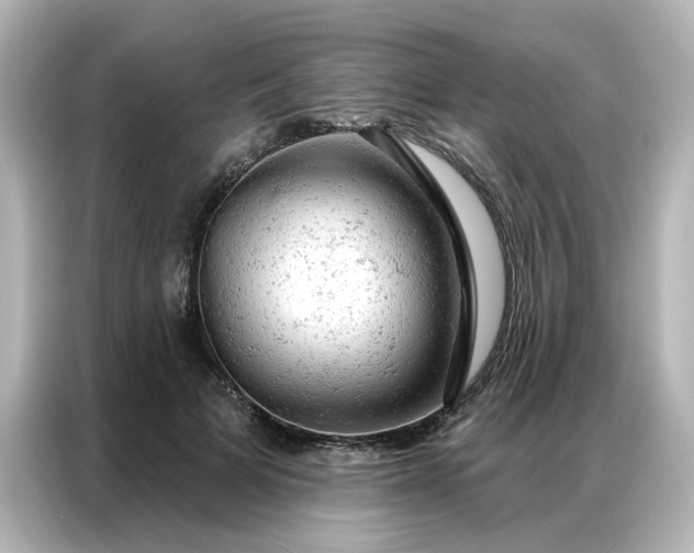 X0000087000697200704301358