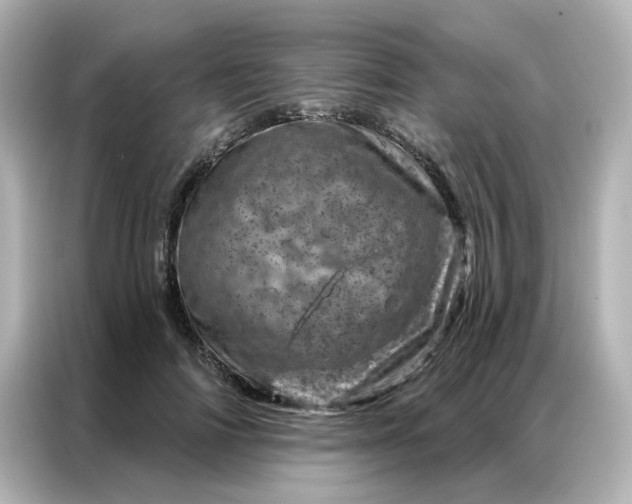 X0000087000698200704301358