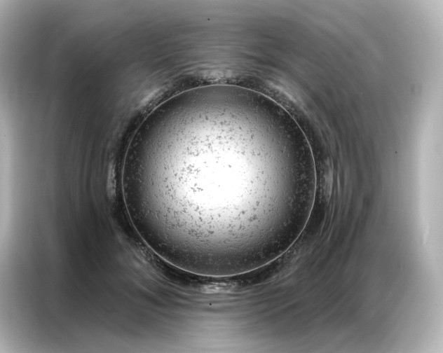 X0000087000700200704301358