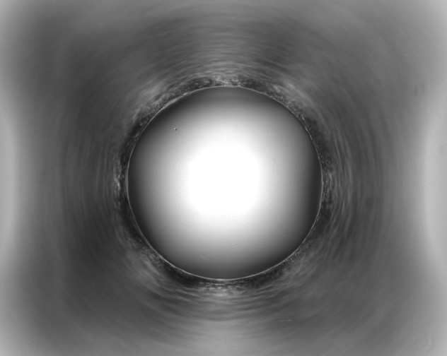 X0000087000702200704301358