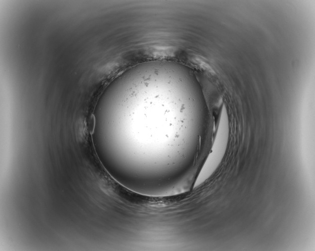 X0000087000704200704301358