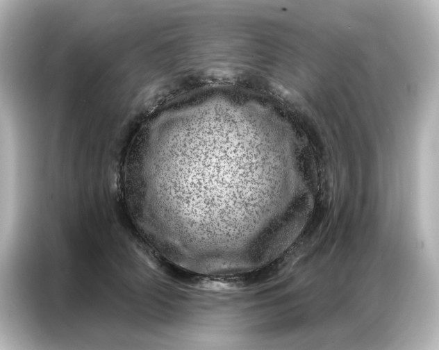 X0000087000706200704301358