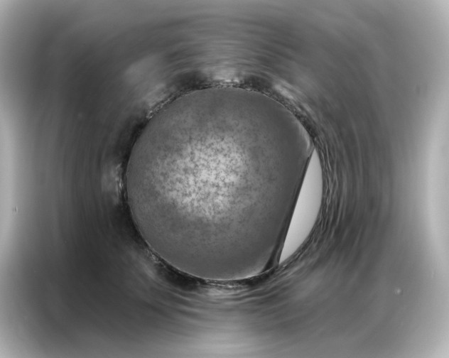 X0000087000707200704301358