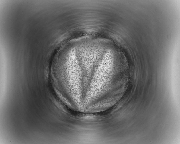 X0000087000710200704301358