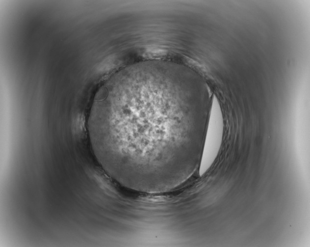 X0000087000711200704301358