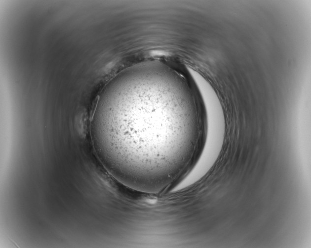 X0000087000712200704301358
