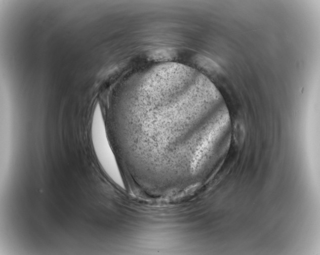 X0000087000714200704301358
