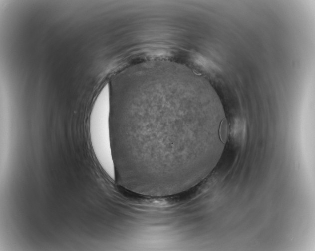 X0000087000715200704301358