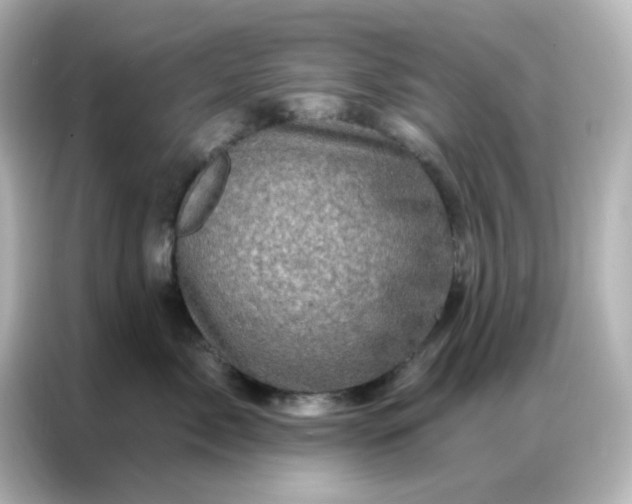 X0000087000717200704301358