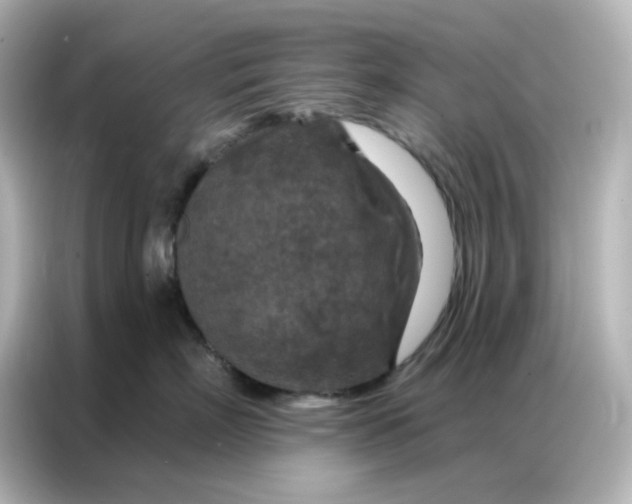 X0000087000718200704301358