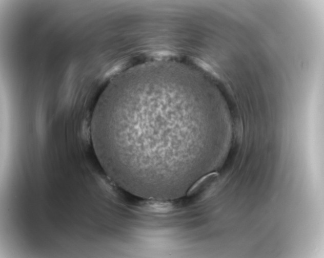X0000087000719200704301358