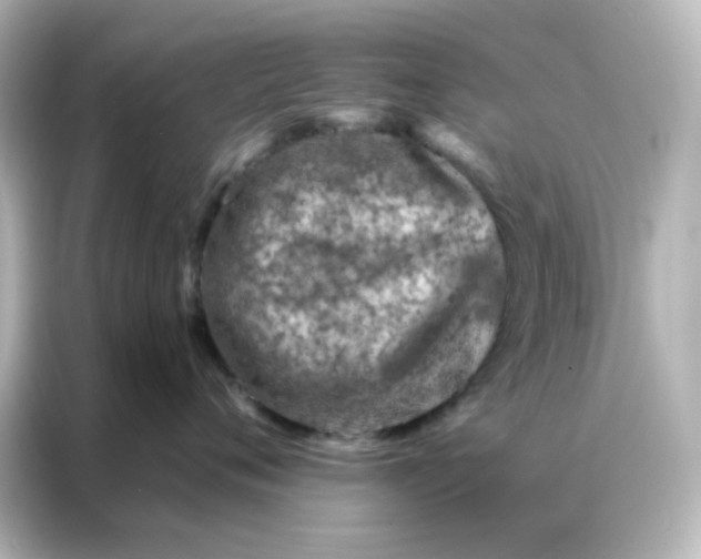X0000087000720200704301358