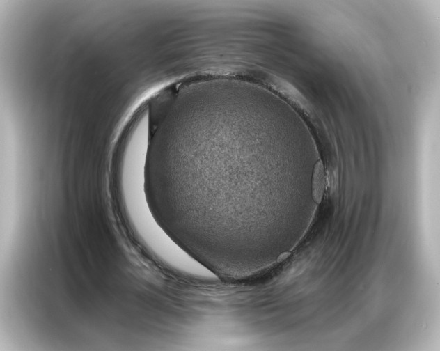 X0000087000724200704301357