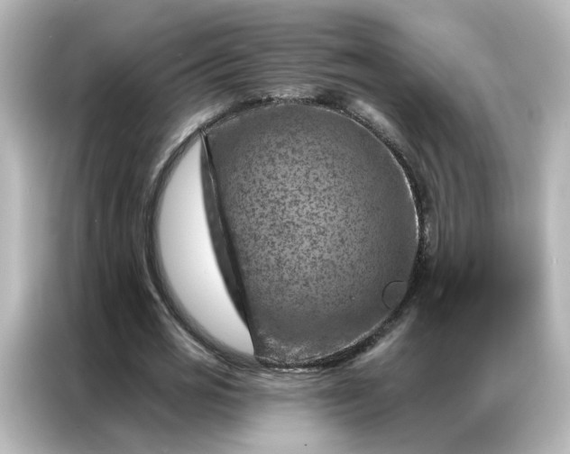 X0000087000725200704301357