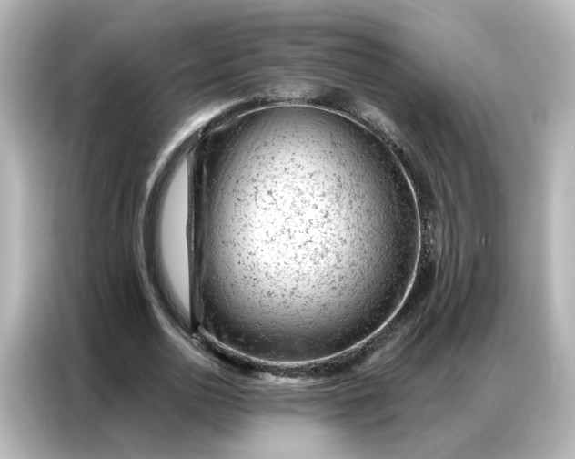 X0000087000726200704301357