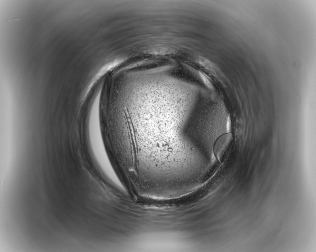 X0000087000727200704301357