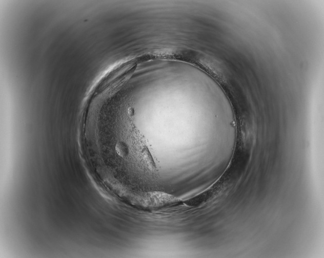 X0000087000728200704301357
