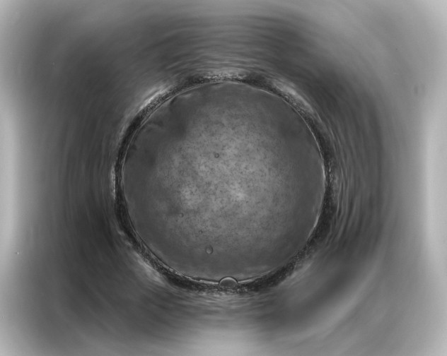 X0000087000729200704301357