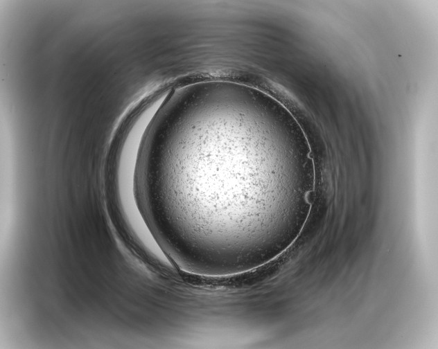 X0000087000730200704301357
