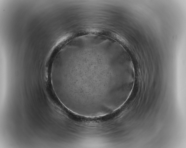 X0000087000731200704301357