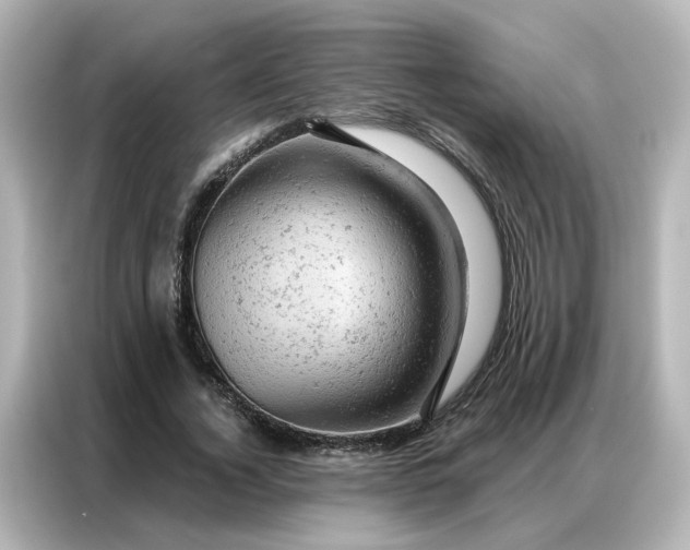 X0000087000732200704301357