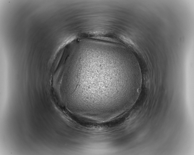 X0000087000735200704301357