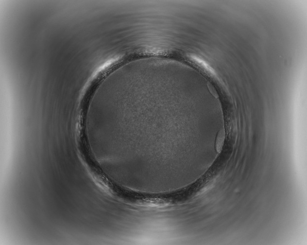 X0000087000736200704301357