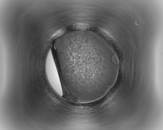 X0000087000737200704301357