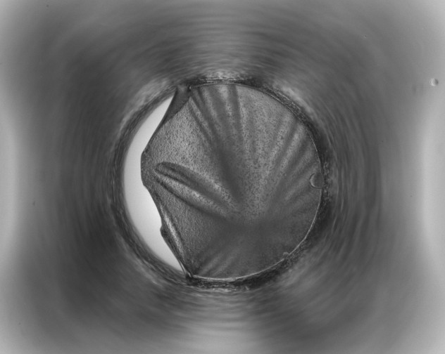 X0000087000738200704301357
