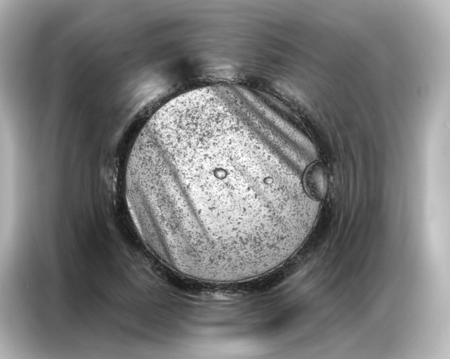 X0000087000739200704301357