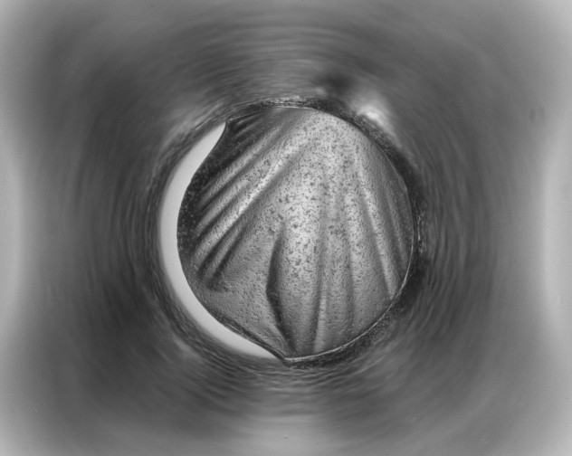 X0000087000740200704301357