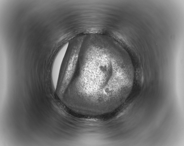 X0000087000741200704301357