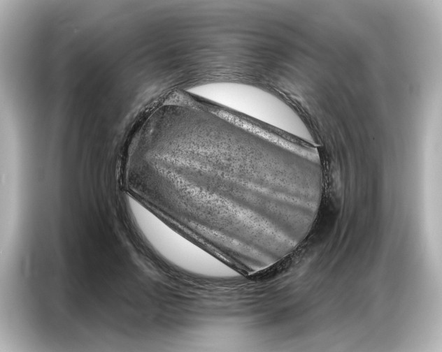 X0000087000742200704301357