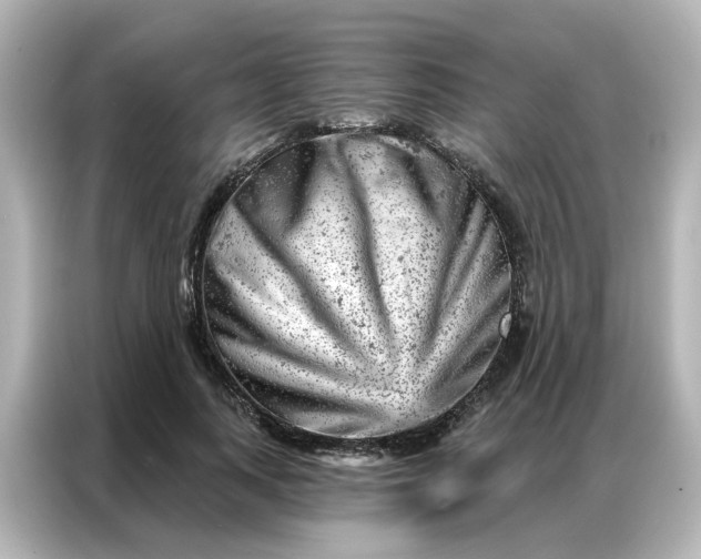 X0000087000743200704301357
