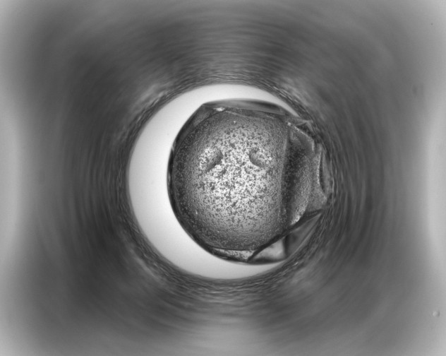 X0000087000744200704301357