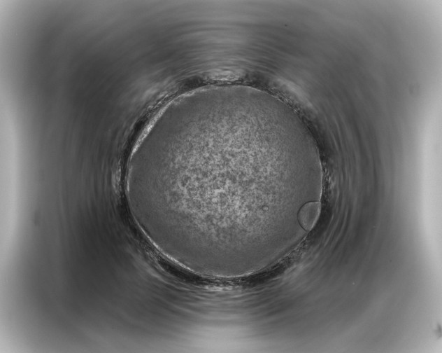 X0000087000745200704301357