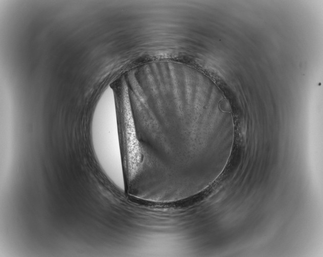 X0000087000746200704301357