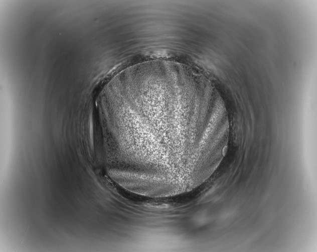 X0000087000747200704301357