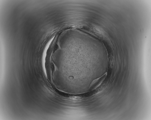 X0000087000748200704301357