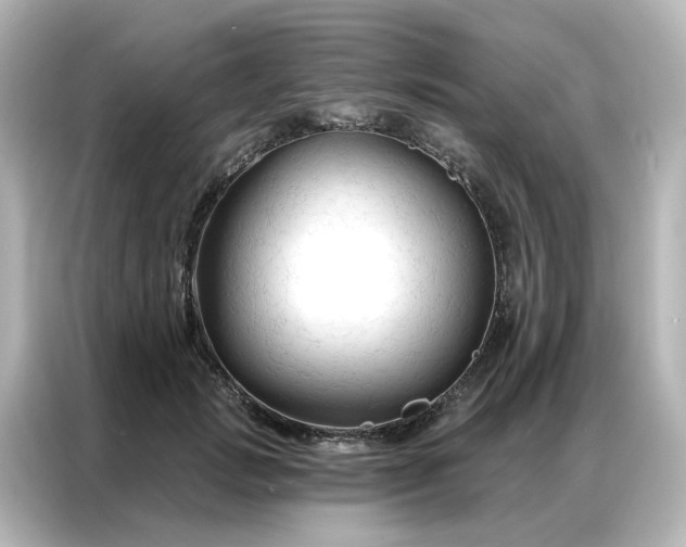 X0000087000749200704301357